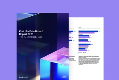 IBM's 2025 breach report: How bad is the AI governance gap?
