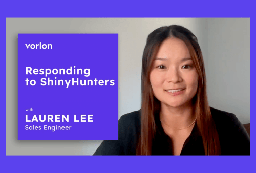 lauren lee salesforce demo resource image