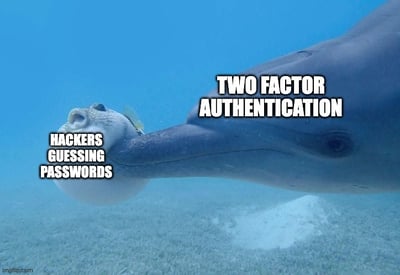 Navigating the Digital Waves Safely: A Guide to Secure Web Surfing