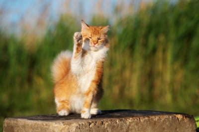 Bidding Farewell Securely: The Art of Employee Off-Boarding