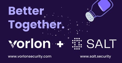 Better Together For All Parties: Salt Security and Vorlon