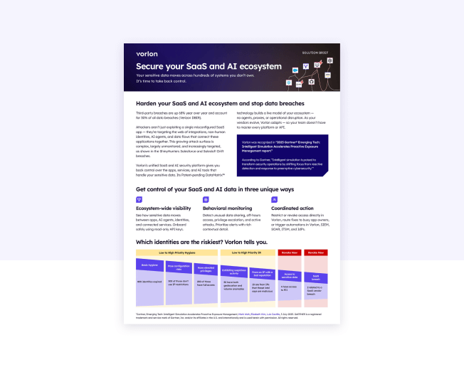 Vorlon Solution Brief