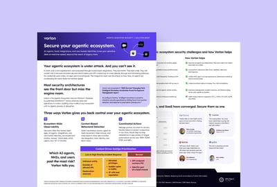 Secure your agentic ecosystem
