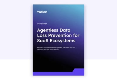 Agentless Data Loss Prevention for SaaS Ecosystems