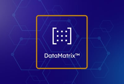 DataMatrix™: Vorlon's Patented Approach to Agentic Ecosystem Security