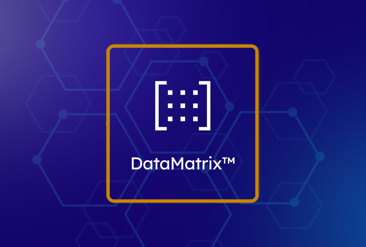 DataMatrix™: Vorlon's Patented Approach to Agentic Ecosystem Security